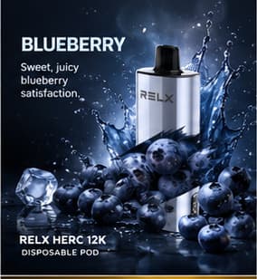 Product image of Blueberry - Relx Herc